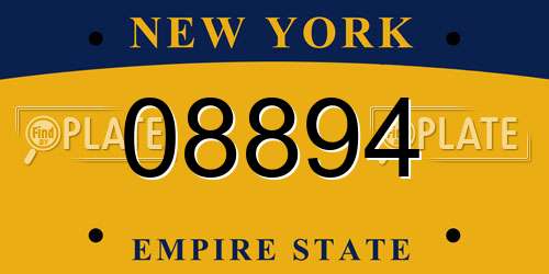 08894 New York License Plate