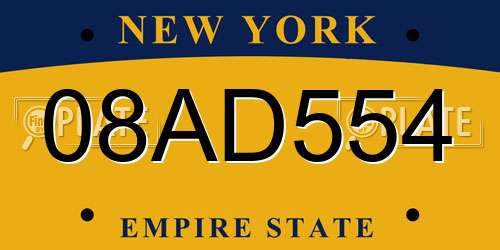 08AD554 New York License Plate