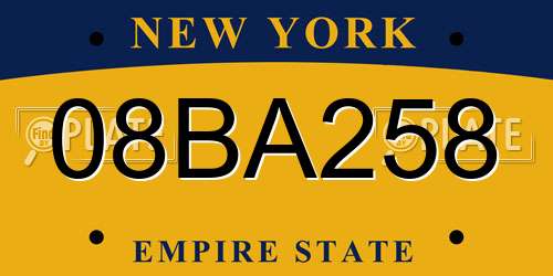 08BA258 New York License Plate