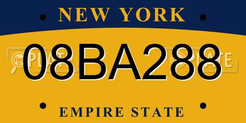 08BA288 New York License Plate