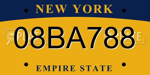 08BA788 New York License Plate