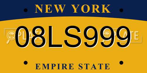 08LS999 New York License Plate
