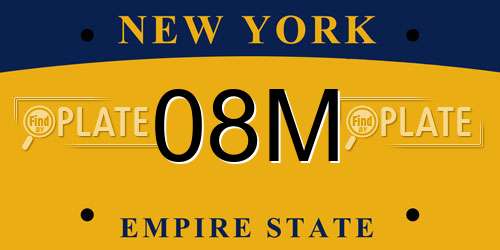 08M New York License Plate