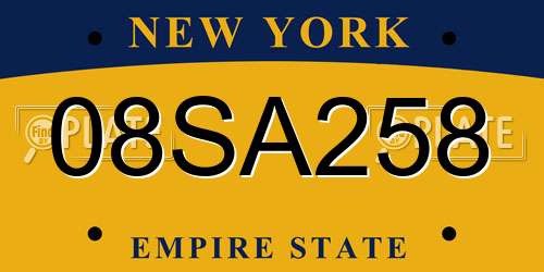 08SA258 New York License Plate