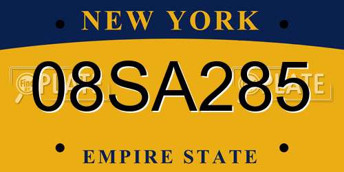 08SA285 New York License Plate