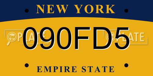 090FD5 New York License Plate
