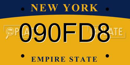 090FD8 New York License Plate