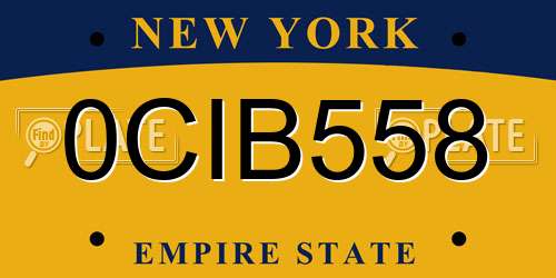 0CIB558 New York License Plate