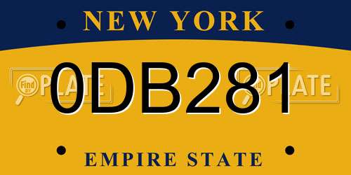 0DB281 New York License Plate