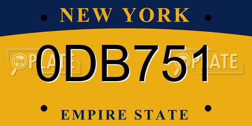0DB751 New York License Plate