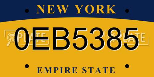 0EB5385 New York License Plate