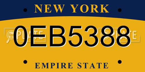 0EB5388 New York License Plate