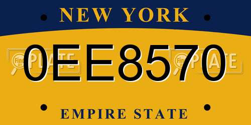 0EE8570 New York License Plate