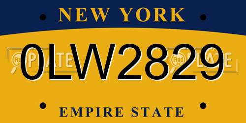0LW2829 New York License Plate