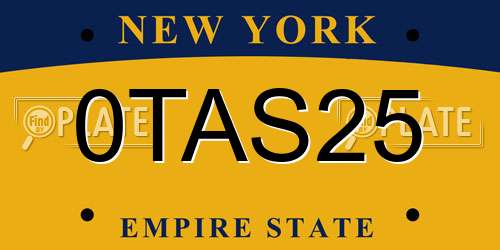 0TAS25 New York License Plate