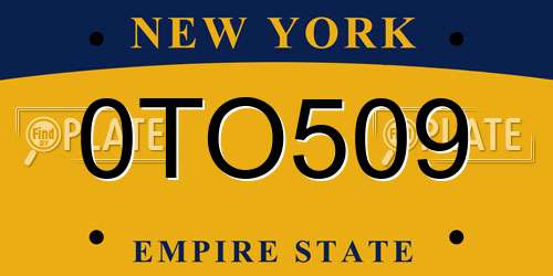 0TO509 New York License Plate