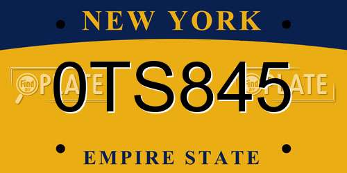 0TS845 New York License Plate