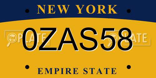 0ZAS58 New York License Plate