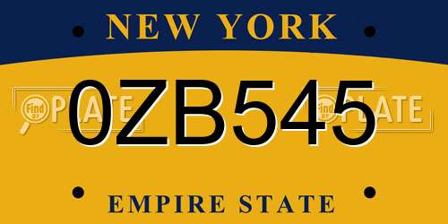 0ZB545 New York License Plate