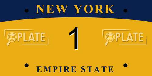 1 New York License Plate