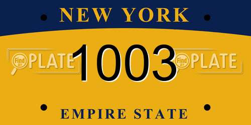 1003 New York License Plate