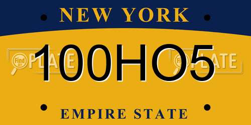 100HO5 New York License Plate