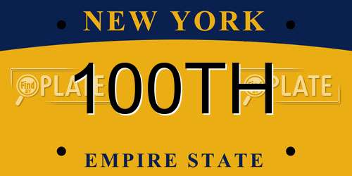 100TH New York License Plate