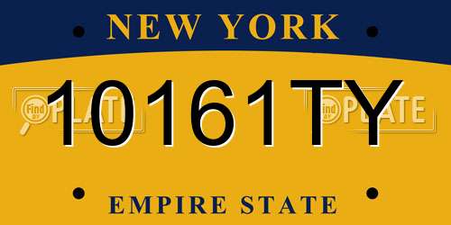 10161TY New York License Plate