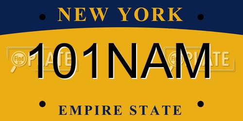 101NAM New York License Plate