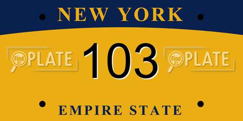 103 New York License Plate