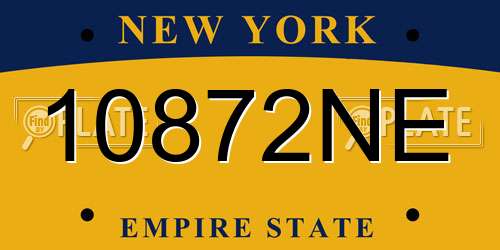 10872NE New York License Plate