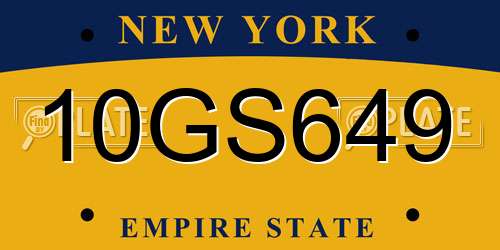 10GS649 New York License Plate