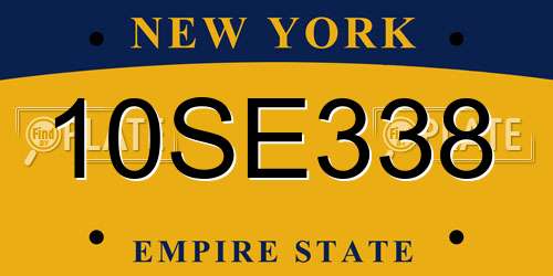 10SE338 New York License Plate