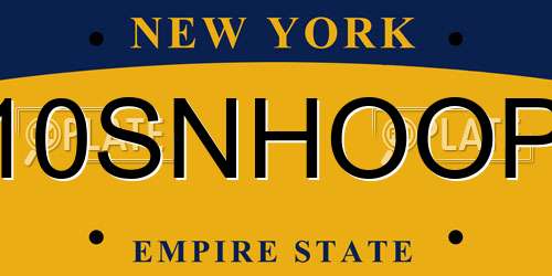10SNHOOP New York License Plate