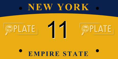 11 New York License Plate