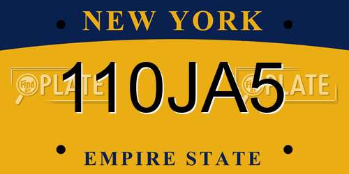110JA5 New York License Plate