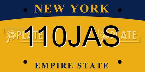 110JAS New York License Plate