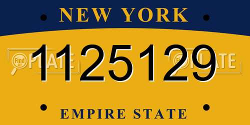 1125129 New York License Plate