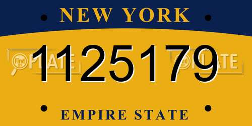 1125179 New York License Plate