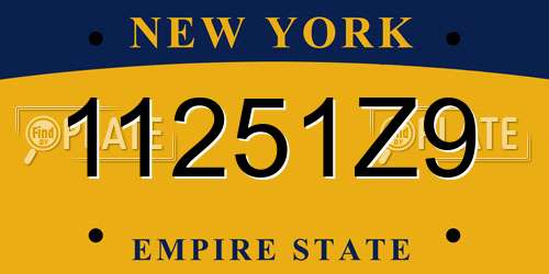 11251Z9 New York License Plate