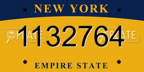 1132764 New York License Plate