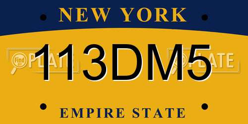 113DM5 New York License Plate