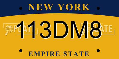 113DM8 New York License Plate