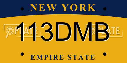 113DMB New York License Plate