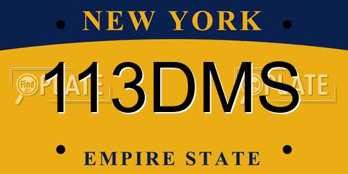 113DMS New York License Plate