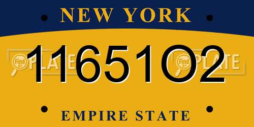 11651O2 New York License Plate