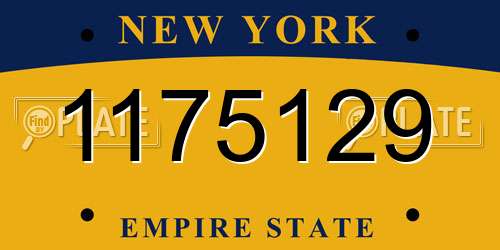 1175129 New York License Plate
