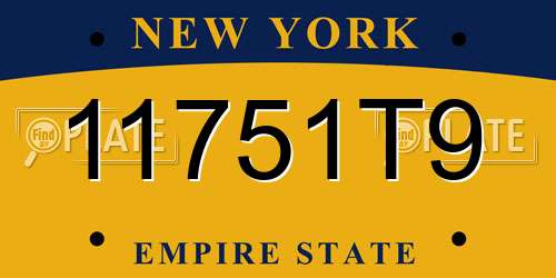 11751T9 New York License Plate