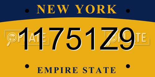 11751Z9 New York License Plate