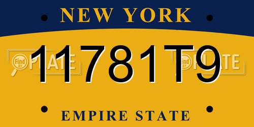 11781T9 New York License Plate